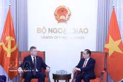 越南外交部长黎怀忠在河内会见正在对越南进行工作访问的捷克和摩拉维亚共产党主席罗曼·劳恩。图自越通社