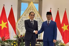 印度尼西亚外交部长苏吉约诺与越南外交部长黎怀忠共同主持越印双边合作委员会第六次会议。图自越通社