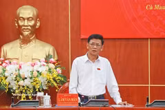 国会民族委员会主席林文敏发表讲话。图自越通社