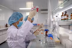 卫生部位于庆和省的疫苗与医学生物制品研究院的研究人员正在进行疫苗研究与检定工作。图自越通社