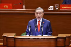 越共中央总书记苏林作第十三届中央委员会提交党的十四大文件的报告。图自越通社