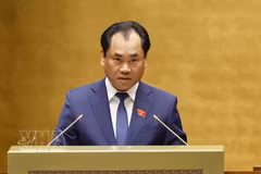 越南农业与环境部长郑越雄作了有关2024年《土地法》修改政策方向的呈文。图自越通社