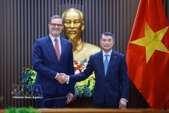  政府总理黎明兴：继续进一步深化越法全面战略伙伴关系