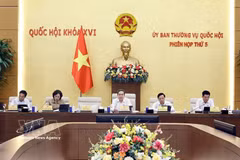 会议现场。图自越通社