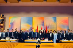 越南代表团在越加经济联合委员会第三次会议上合影留念。图：越通社发