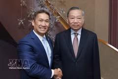 越共中央总书记、国家主席苏林会见美国代理海军部长高雄。图自越通社