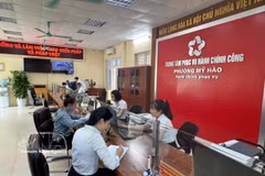 附图：兴安省美豪坊共公共行政服务中心。图自越通社