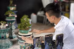数字化转型：从提升管理效能到服务经济发