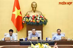 越南国会主席陈青敏发表讲话。图自越通社