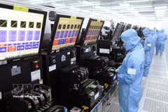 在宁平省福山工业园区MCNEX VINA有限责任公司（100%韩资）工厂内，生产用于出口的摄像头模组及电子元件的生产线。图自越通社