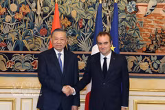 越共中央总书记、国家主席苏林会见法国总理塞巴斯蒂安·勒科尔尼。图自越通社