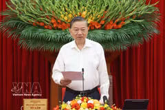越共中央总书记、国家主席苏林主持与中央政策战略部的工作会议。图自越通社
