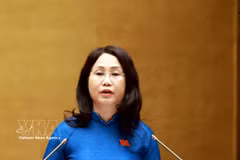 越南文化、体育与旅游部部长林氏芳青作国会关于越南文化发展的决议草案的说明、采纳与整理报告。图自越通社
