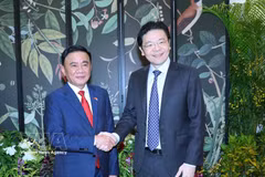越共中央政治局委员、中央书记处常务书记陈锦秀会见新加坡人民行动党秘书长、政府总理黄循财。图自越通社
