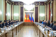 越共中央总书记、国家主席苏林会见俄罗斯总理米哈伊尔·米舒斯京。图自越通社