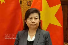 中国人民大学重阳金融研究院研究员刘英接受越通社驻中国记者采访。图自越通社
