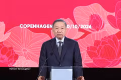越共中央总书记、国家主席苏林在纪念越丹建交55周年（1971-2026）招待宴会上发表讲话。图自越通社