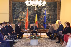 越共中央总书记、国家主席苏林会见比利时众议院议长彼得·德鲁弗（右）和参议院议长文森特·布隆代尔（左）。图自越通社