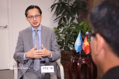 越南常驻联合国代表团团长杜雄越大使接受越通社驻纽约记者采访。图自越通社