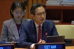 越南常驻联合国代表团团长杜雄越大使出席会议。图：越通社发