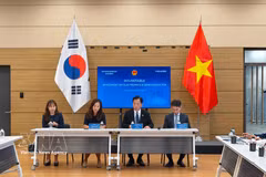 越南驻韩国大使武胡（右二）主持座谈会。图自越通社