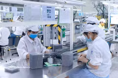 在富寿省平川一号工业园区的Star Engineers越南公司进行电子零部件生产。图自越通社