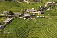 老街左万（Tả Van）美景。图自越通社