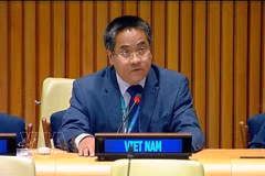 越南常驻联合国代表团副团长阮海流公使出席会议并发表讲话。图自越通社