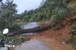 持续强降雨引发山体滑坡，山罗省、奠边省交通严重受阻