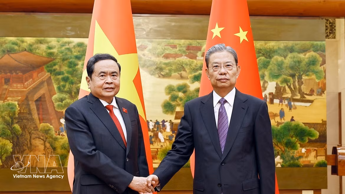 越南国会主席陈青敏与中共中央政治局常委、全国人大常委会委员长赵乐际举行会谈 