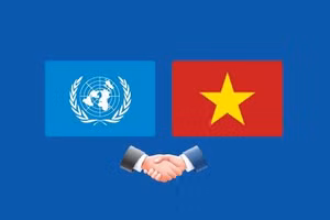 越南积极参与联合国事务并为其作出负责任贡献