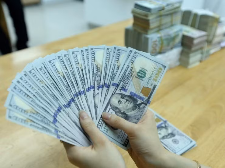 附图。图自越通社