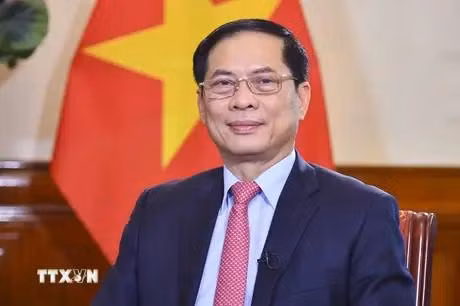 越南外交部长裴青山。图自越通社