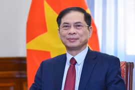 政府副总理裴青山担任工作组组长。图自政府新闻网