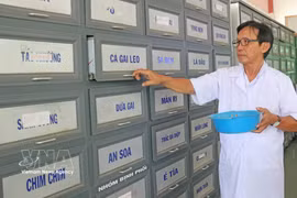 用于万市（Chợ Vàm）慈善传统医学诊所患者治疗的药材。图自