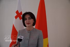 格鲁吉亚副总理兼外长玛卡·博乔里什维利接受越通社记者的采访。图自越通社