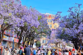 附图。图自https://vnexpress.net/