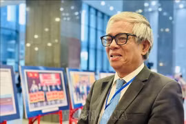  回顾2025年：越南对外工作主动适应，为国家发展蓄势