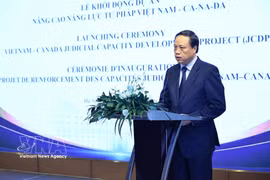 越南最高人民法院副院长黎进发表讲话。图自越通社