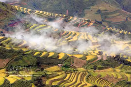 斜处的美景。图自越通社