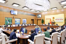 第三次全国选举委员会会议于11月10日举行。图自越通社