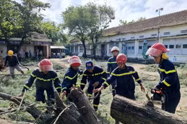 得乐省相关力量正在处理倒伏树木。图自越通社