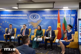 研讨会现场。图自越通社