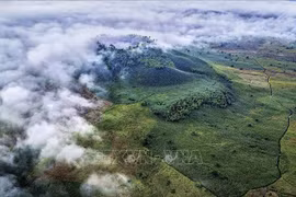 鸟瞰南布朗火山。图自越通社