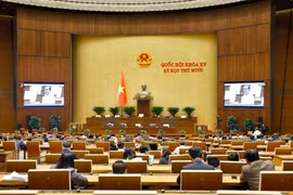 第十五届国会第十次会议：规划分级管理必须协同推进