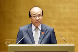 国会法律与司法委员会主任潘志孝在作审查报告。图自越通社