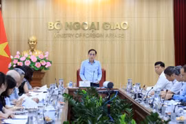 外交部长黎怀忠发表讲话。图自越通社