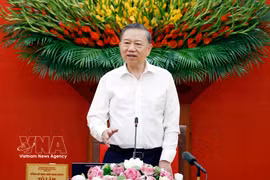 苏林总书记、国家主席发表讲话。图自越通社