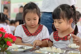 附图。图自越通社