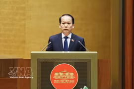 司法部长黄清松发表讲话。图自越通社
